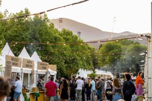 Image of people walking along next to food and drink stalls at Taste of Summer, with outline of hazy mountain in the background